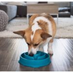 Outward hound nina ottoson Posuda za sporo hranjenje Drop Fun Feeder Dog Bowl Slow Feeder 5