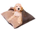 Krevet za pse ortopedski s Pokrivačem Smeđi Hudog Hucat