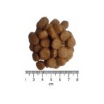 Optimanova Adult Mini piletina i riža 2 kg hrana za pse dehidrat