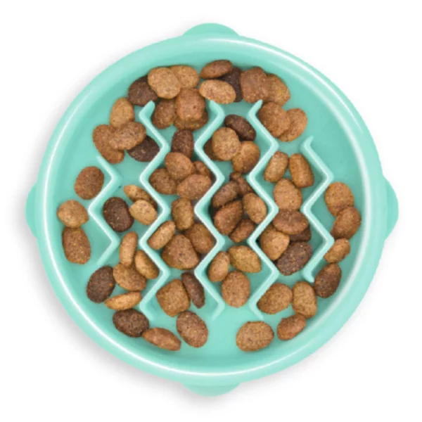 Zdjelica za sporo hranjenje puna suhe hrane za pse.