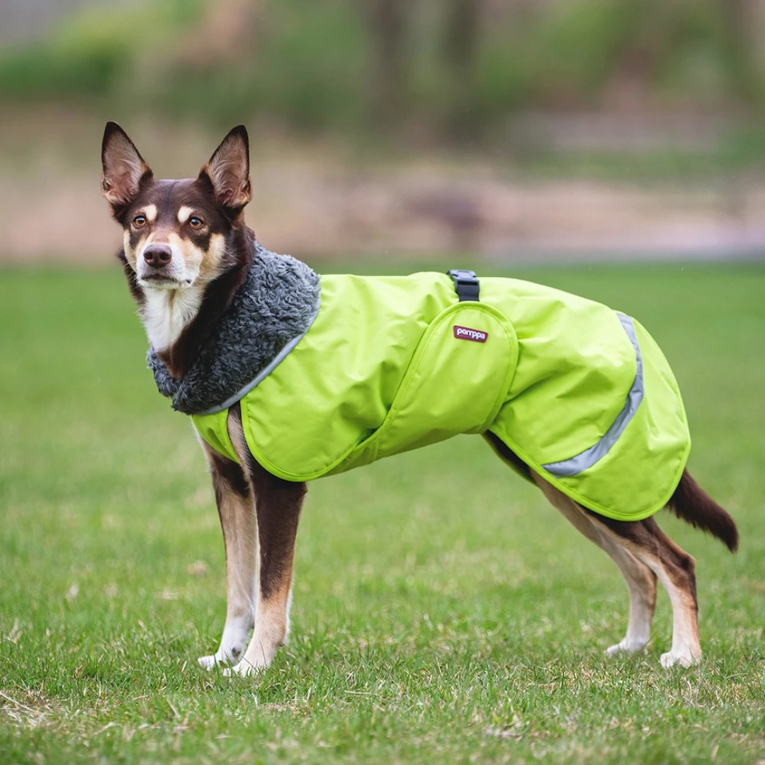 Pas u Perus Pomppa zimskoj jakni u zelenoj boji