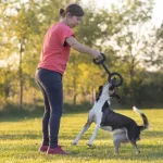Pas uživa u igri s izdržljivom Pull igračkom od PlayDog-a