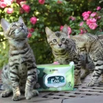Eco Pet Wipes biorazgradive vlažne maramice za pse i mačke, dostupne u raznim mirisima, idealne za čišćenje i njegu ljubimaca.