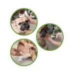 Eco Pet Wipes biorazgradive vlažne maramice za pse i mačke, dostupne u raznim mirisima, idealne za čišćenje i njegu ljubimaca.