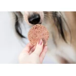 KIVO mokra hrana za pse s 57% piletine i 21% govedine, pakiranje od 600 g. Hrana je kuhana na pari za očuvanje hranjivih tvari, bez glutena, umjetnih dodataka i konzervansa. Prikladna za pse svih uzrasta.