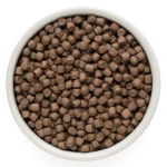 Granule Grandorf 4 Meats & Brown Rice Mini – veličina i tekstura